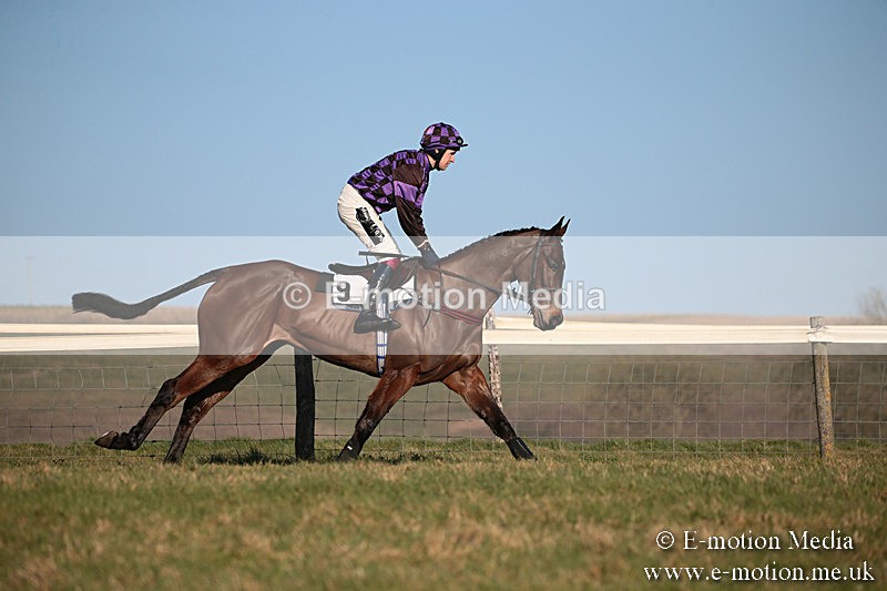 PtP 230219 494 - Vine & Craven Point-To-Point - Barbury 23/02/19