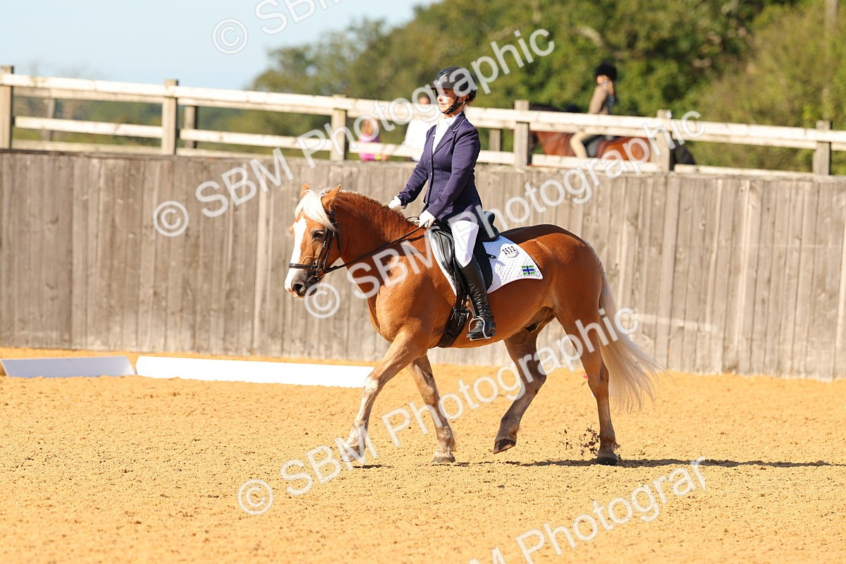 SBM_39919 - D18 - Grand Tour Championship - Novice 34
