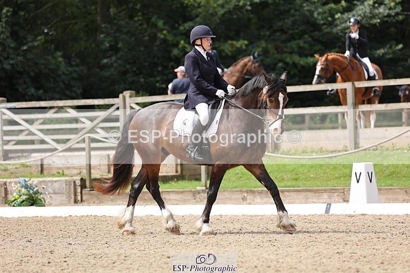 240721-115723-08484 - 176-Amanda_Williams-Llanarth_Westminster