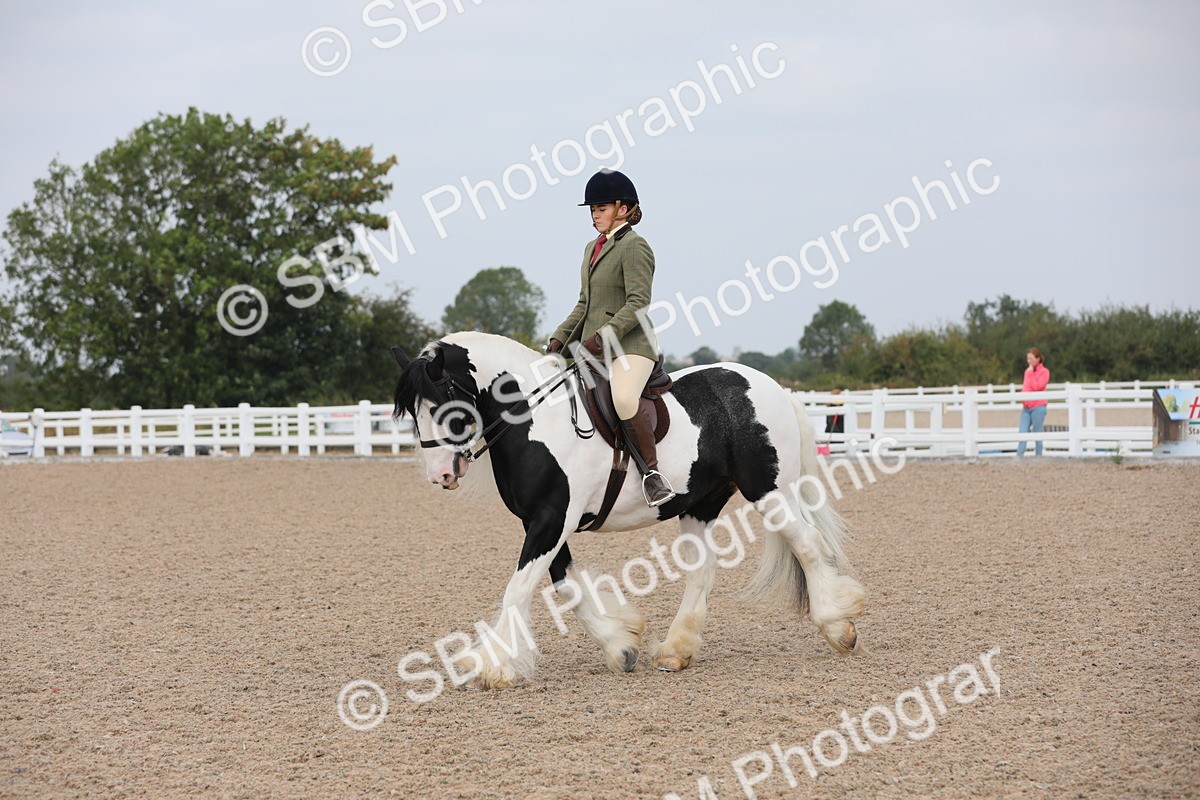 SBM_12796 - Class 307 Ridden Coloured Pony