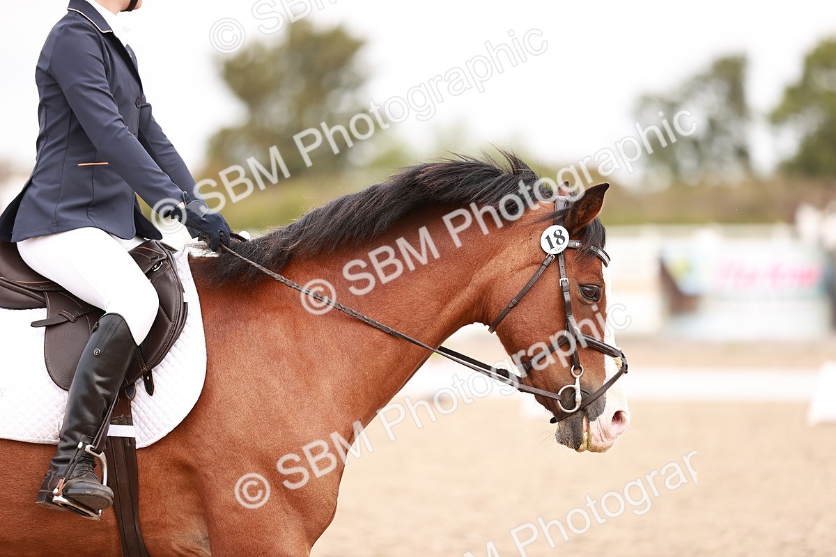 SBM_02445