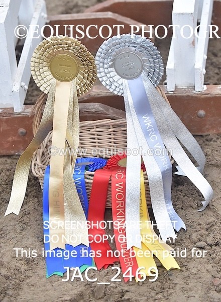 JAC_2469 - CLASS 3 Intermediate Working Hunter