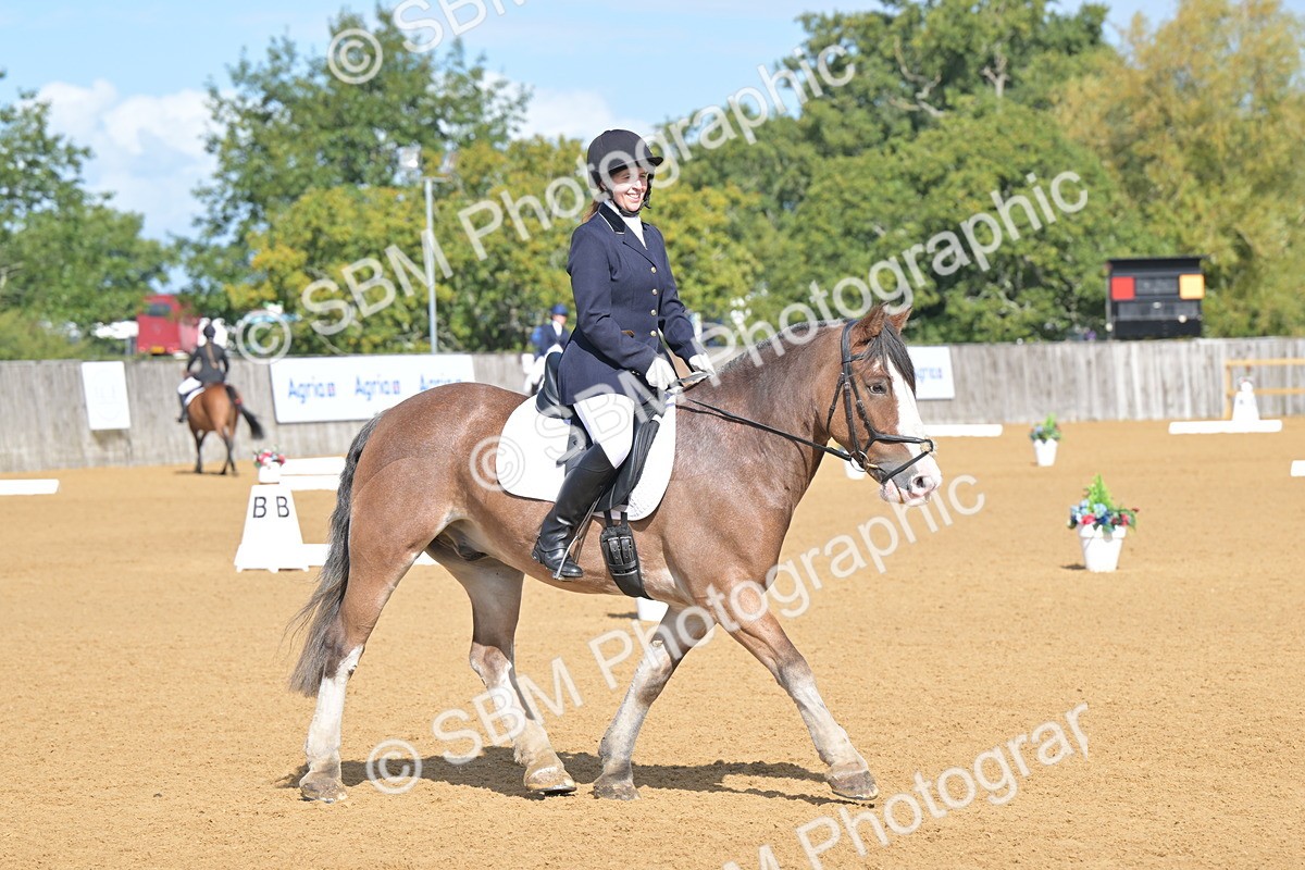 SBM_03888 - D2 - Small Tour Championship Intro 2