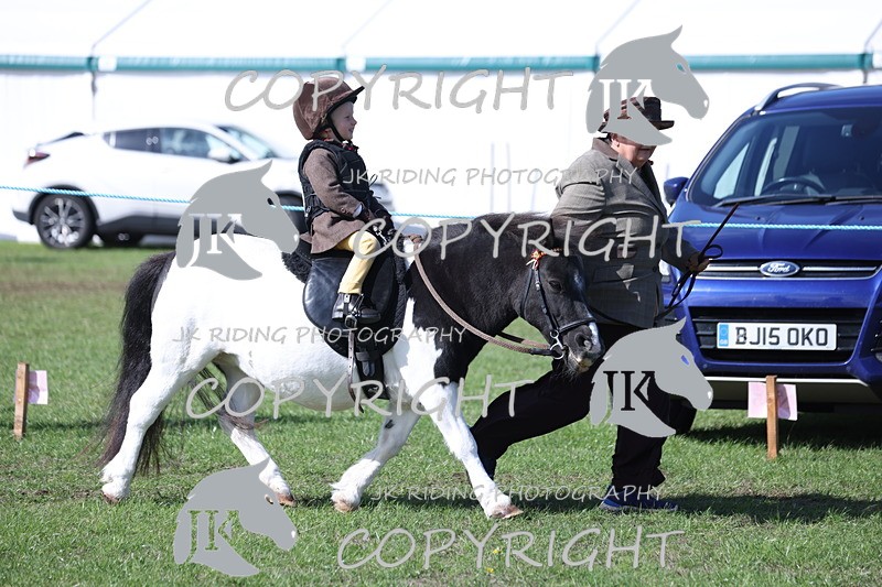 APP_3820 - Class 13 Lead rein