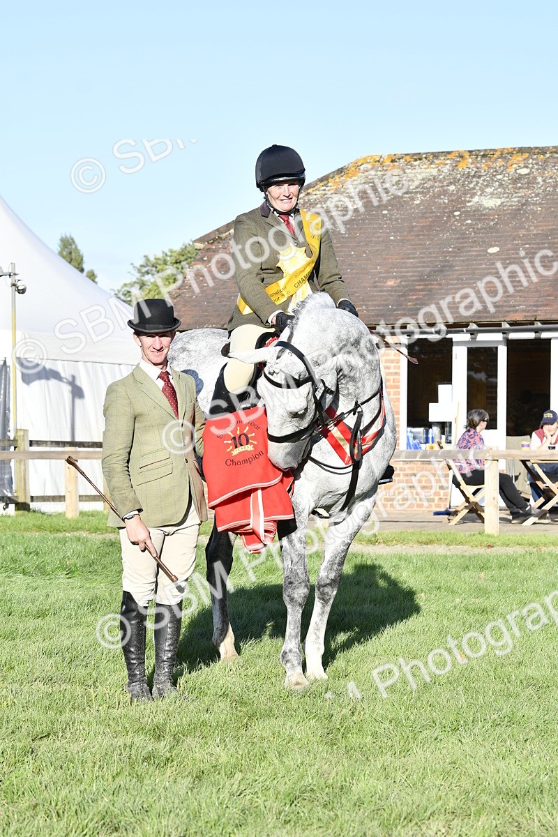 SBM_51761 - Working Hunter Supreme Championship
