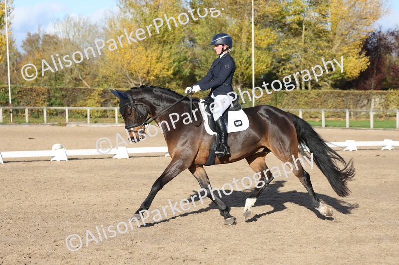 20251102-1208 - Class 7 - Medium 5