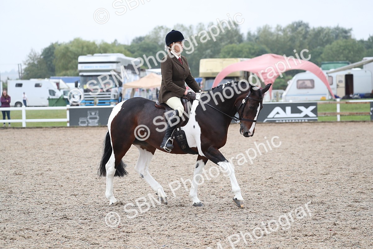 SBM_22035 - Class 603 - 2025 Area Ridden Pre Vet