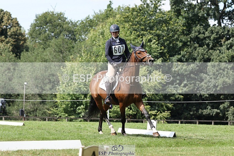 250823A-140134-31433 - Arena D