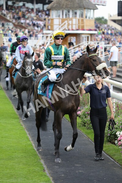 yr23072022r6-7 - Race 6 5.00pm Sky Bet Partnership with Support Dogs Stakes