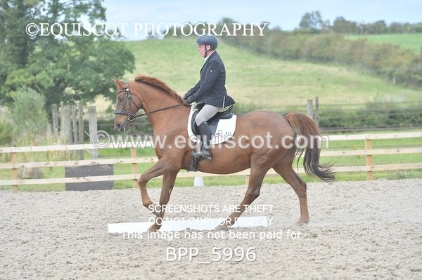 BPP_5996 - PRELIM TEST 5 LONG ARENA