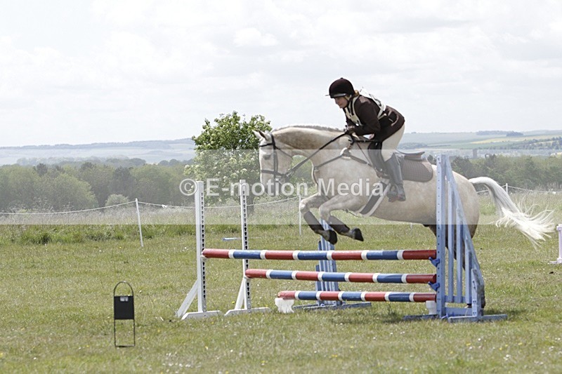 BVHT 140517 N-368 - Class 2 SJ Novice 14/05/17