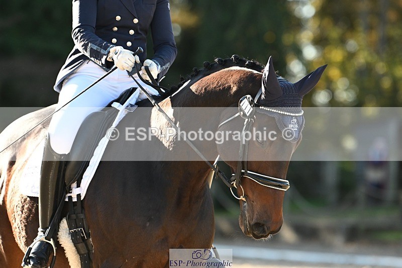 231110-110018-00285 - Cls 2 Prelim 17(a)Q