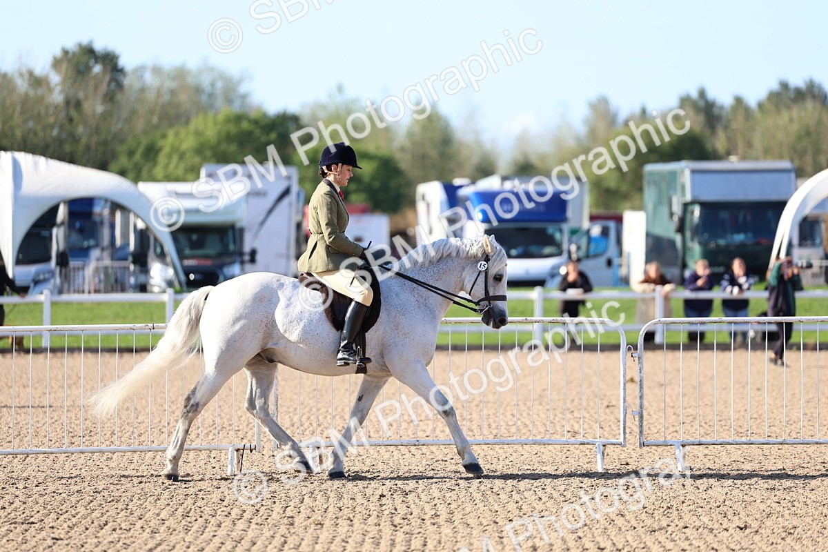 SBM_08853 - Class 302 - Ridden M&M - Large Breeds