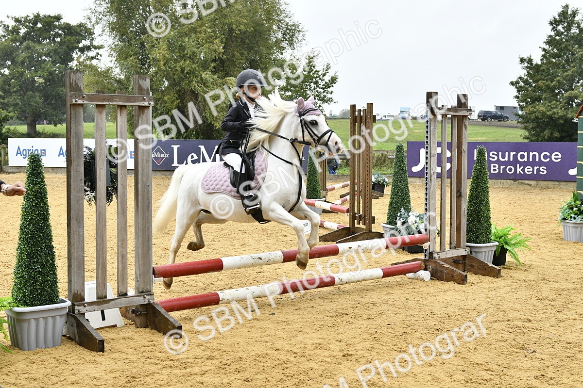 SBM_70893 - J3 - Mini Tour Junior Pony 40cm championship