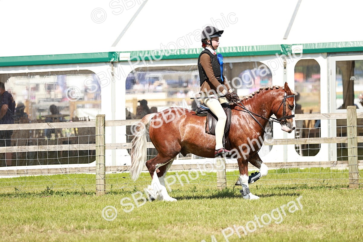 SBM_17684 - Class 112-113 - BSPS LIHS Working Sports Pony