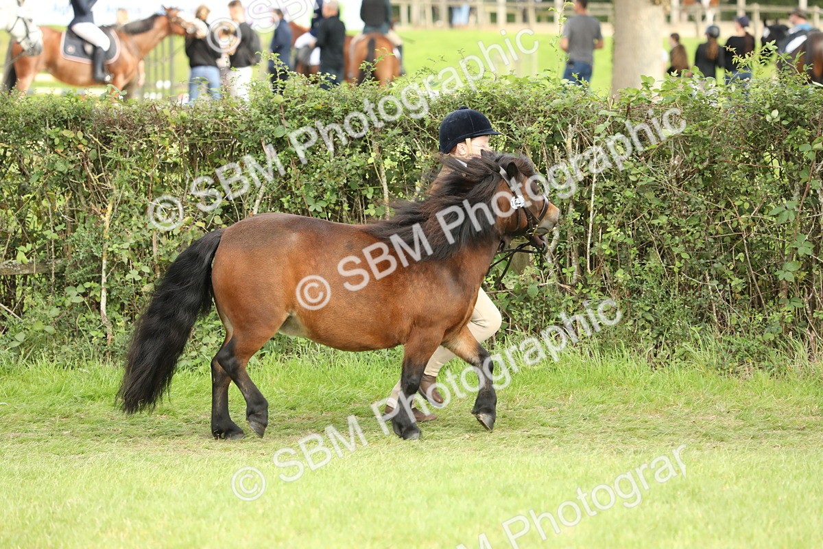 SBM_68536 - S40 - Junior Handler 9-12 Years