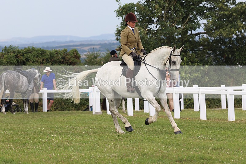 JPP_3836 - Class 23: Working Hunter 80cm