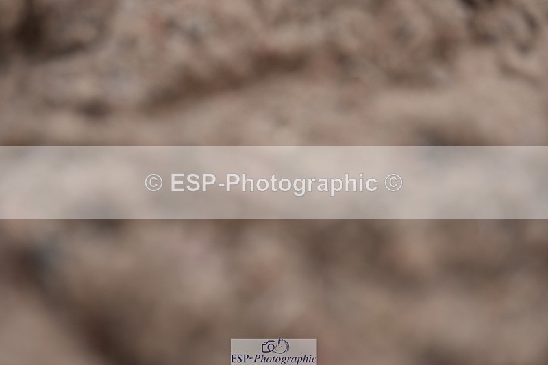 240623A-114112-17276 - Cls 47 BD Novice 22