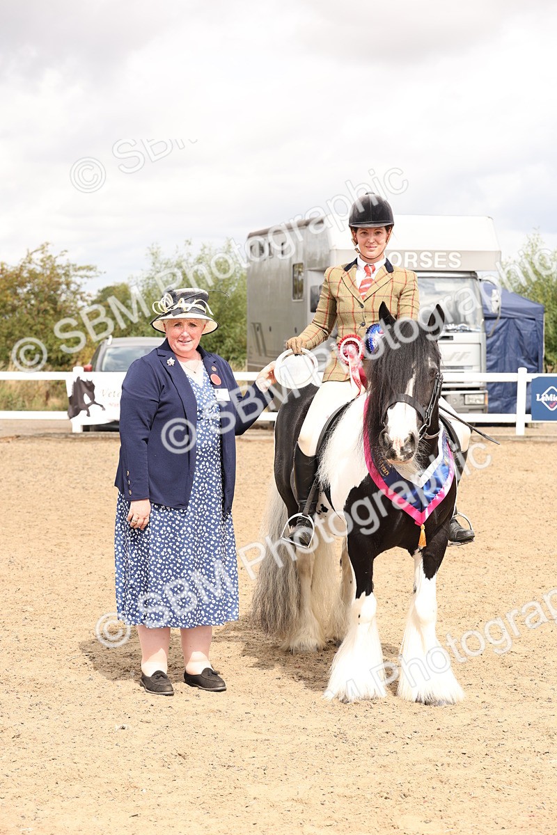 SBM_05175 - Class 56a -  Style & Performance - 50cm (15-19)