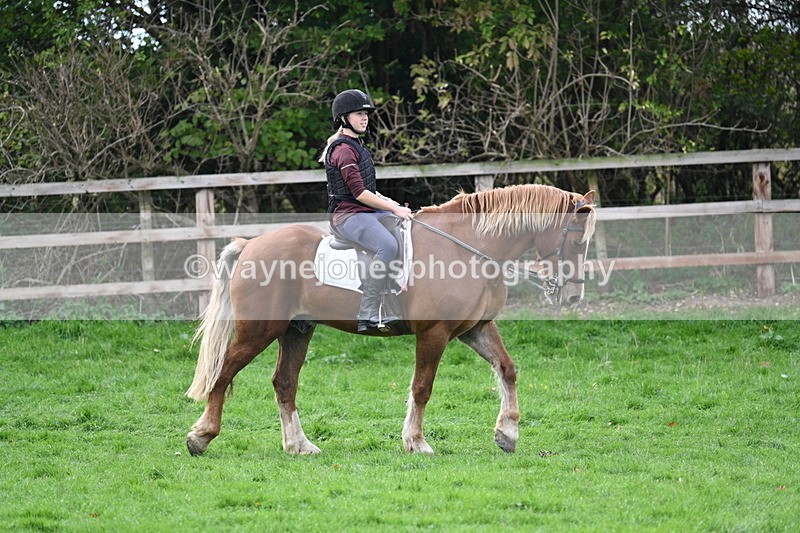 WJ7_9565 - Time 12:55 to 13:13