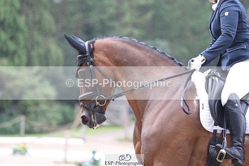 230812-103213-03253 - Cls 5 Novice Bronze Start to 10.55 break