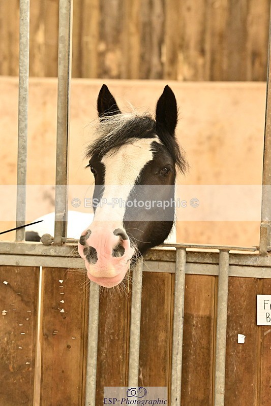 250821B-130009-00468 - Stable Shots and Group Photo