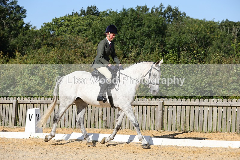1X9A7727 - Class 9: Open Ridden Hunter