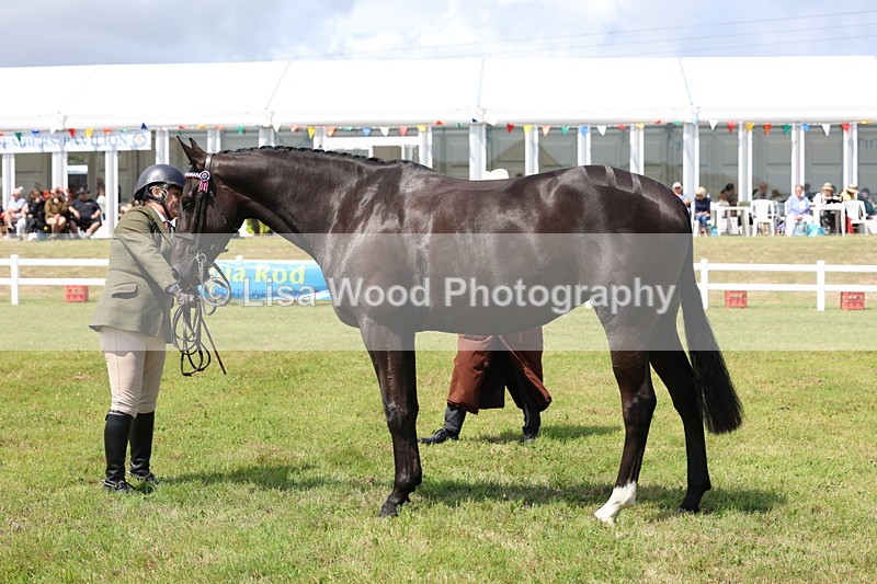 3E7A1229 - Class 8: Open Riding Horse/Hack