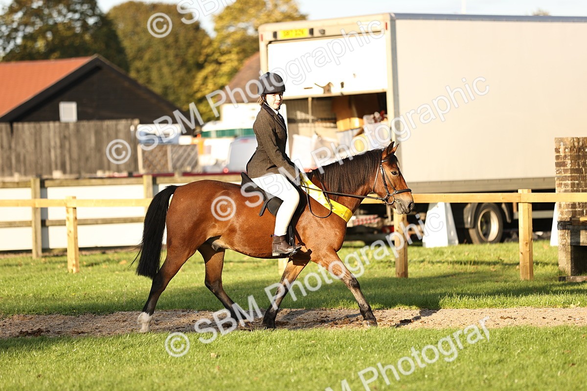 SBM_30099 - Novice & Newcomers Supreme Championship