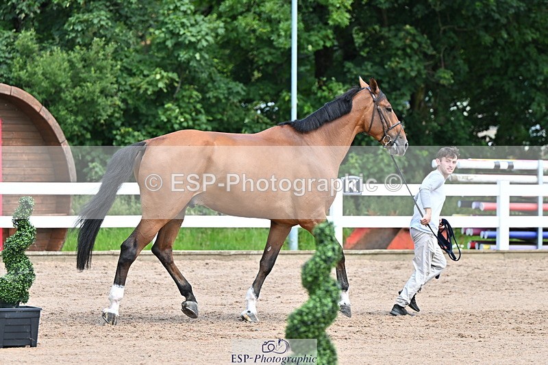 240718A-105254-01305 - Trot Up 12pm to 1pm