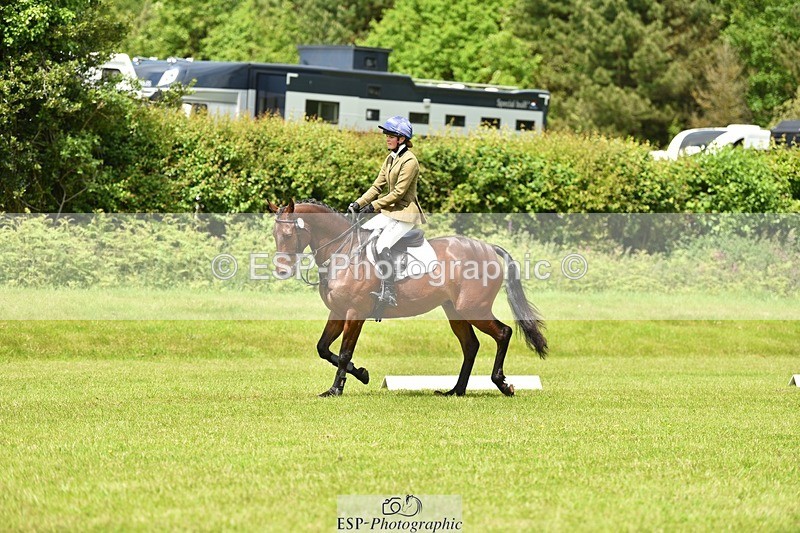 240523B-125144-02269 - 5 Year Old