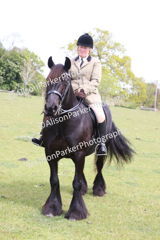 20260426-3040 - Class 33 - Best Pony 14.2hh and Under