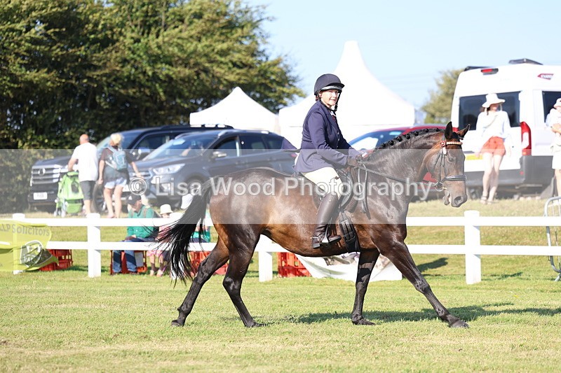 3E7A5300 - Class 2: Rising Star Large Hack/Riding Horse