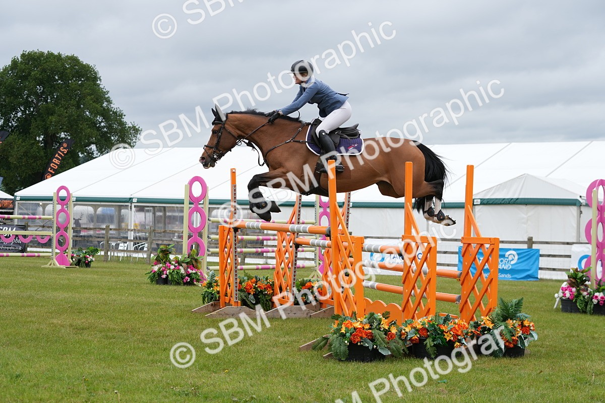 SBM_03364 - Class 201 - British Horse Feeds Speedi Beet Horse of the Year Show Grade  C
