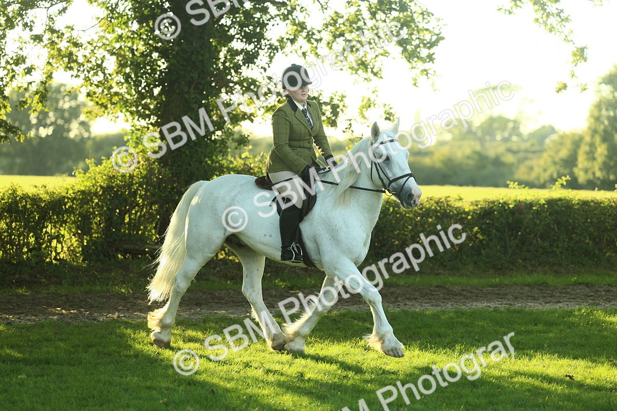 SBM_55625 - S14 - Riding Club Horse