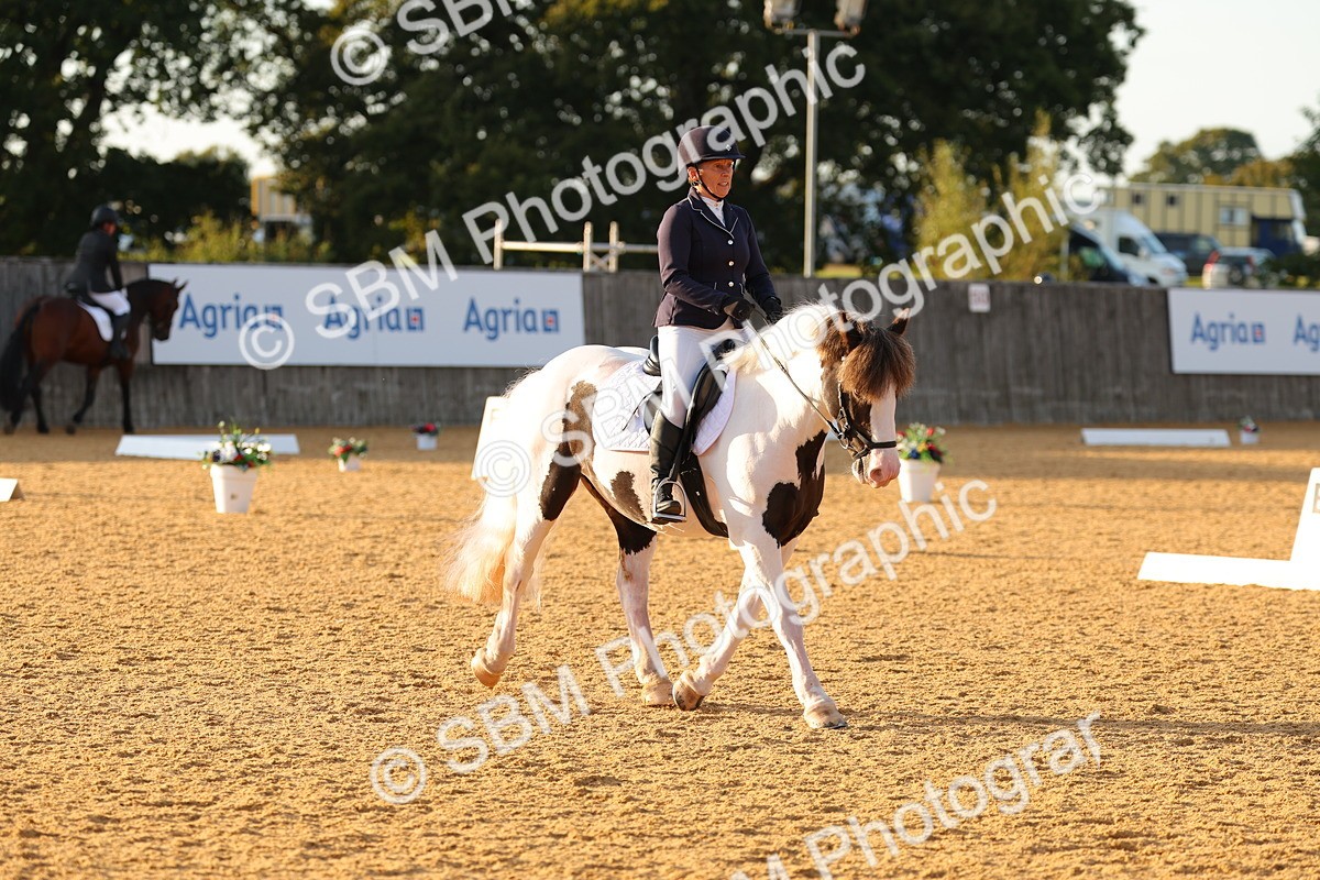 SBM_54543 - D12 - Small Tour Championship - Prelim 18