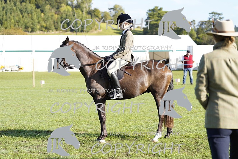 _DSC9417 - Class 8 & 17 Ridden Hunter & Ridden Hunter Pony