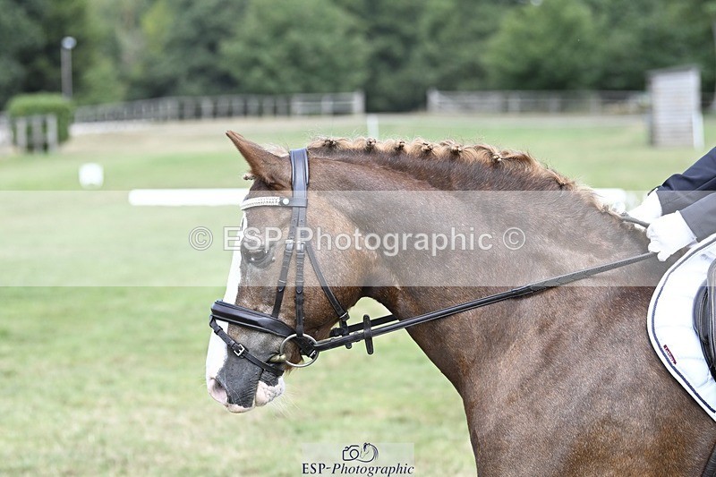 250821A-122951-15567 - DR 11.00 to 12.00