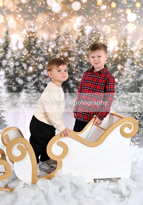 DSC_7487 - shannon ram