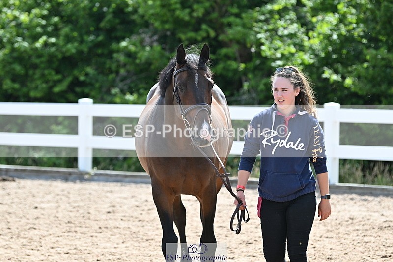 240717A-153738-02926 - Trot Up 3pm to 4pm