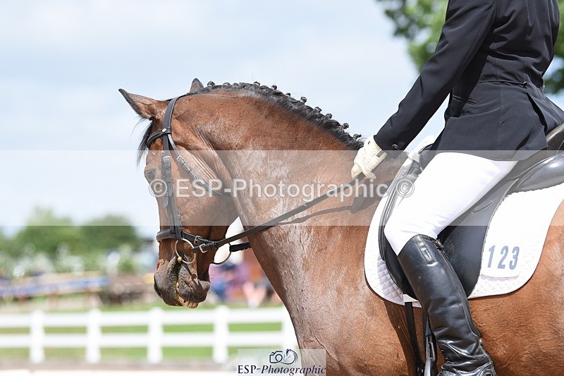 230702A-143722-10557 - Cls 5,6+7 Novice 27+30, Elementary 44