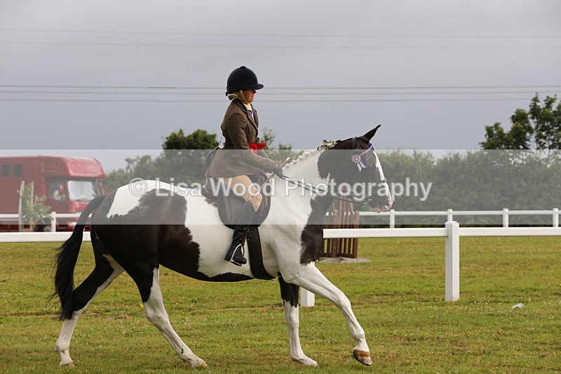 1X9A2958 - Class 25: Ridden Plaited Coloured Horse