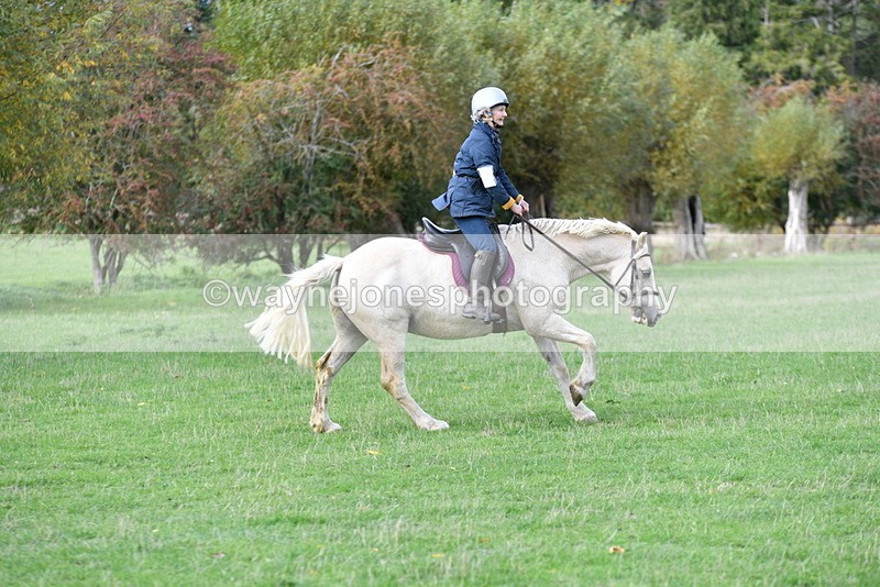 WJ5_0492 - Time 13:59 to 14:28