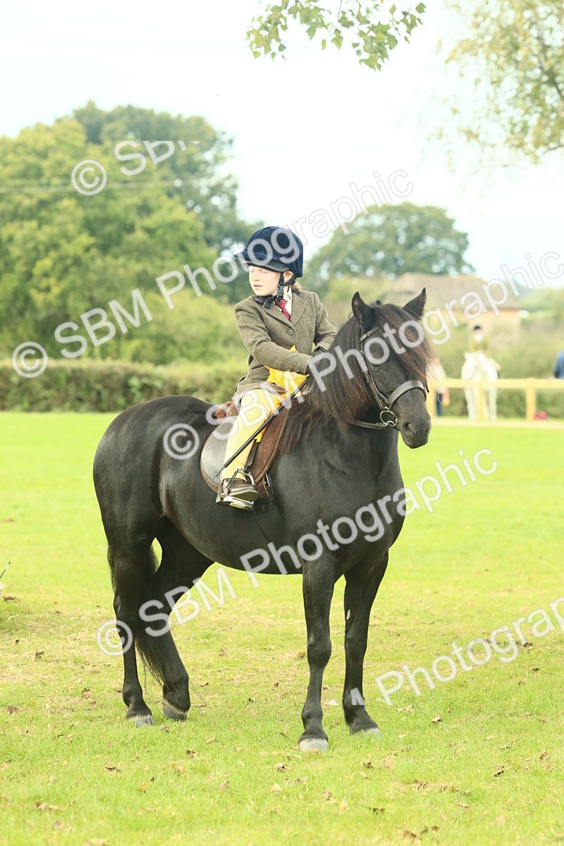 SBM_70052 - S59 - Mountain & Moorland Ridden Small Breeds