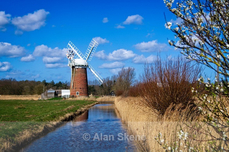 DSC02892 - Norfolk