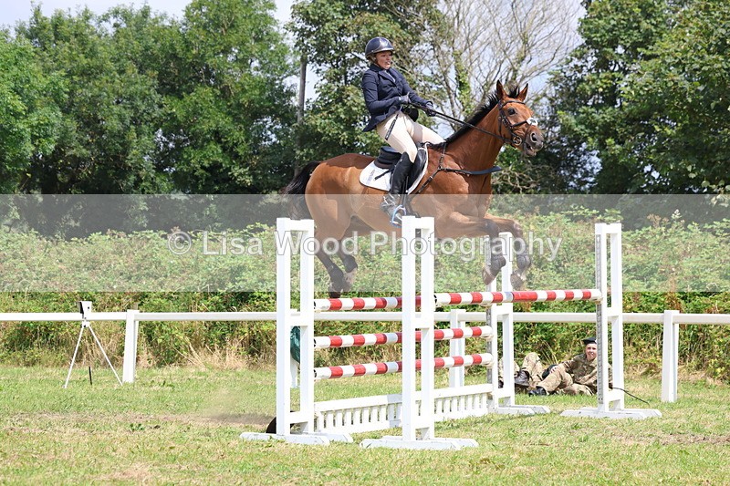 3E7A3413 - Class 10: Senior Foxhunter/1.20 open