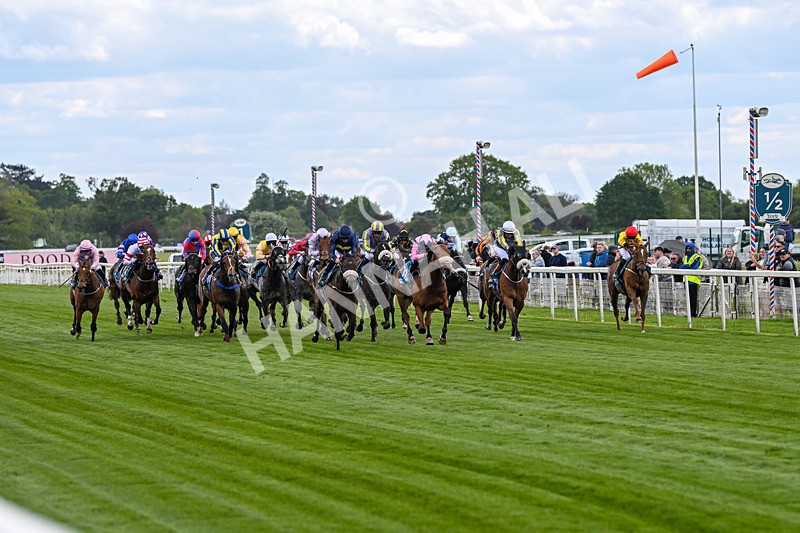 150526-Race 1-Zarathos-6868 - Race 1 1.45pm Yorkshire Equine Practice Handicap