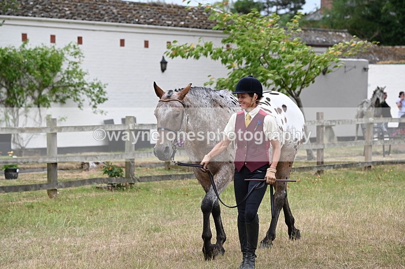 WJ6_7999 - Class 10 Coloured in Hand
