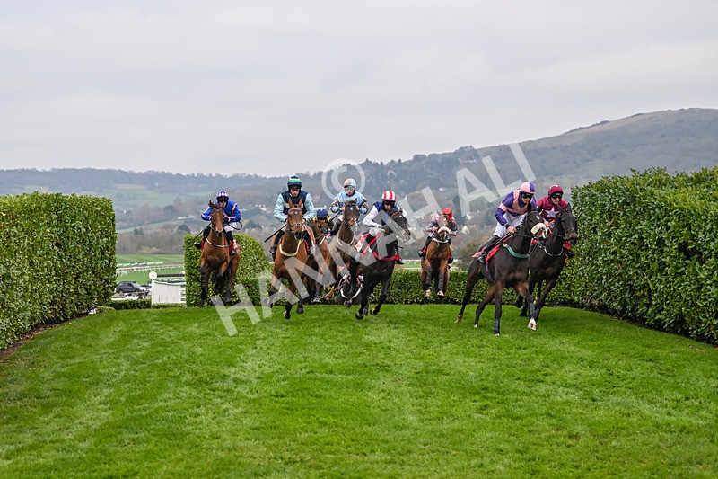 151124-Race 4-GVs-8144 - Race 4