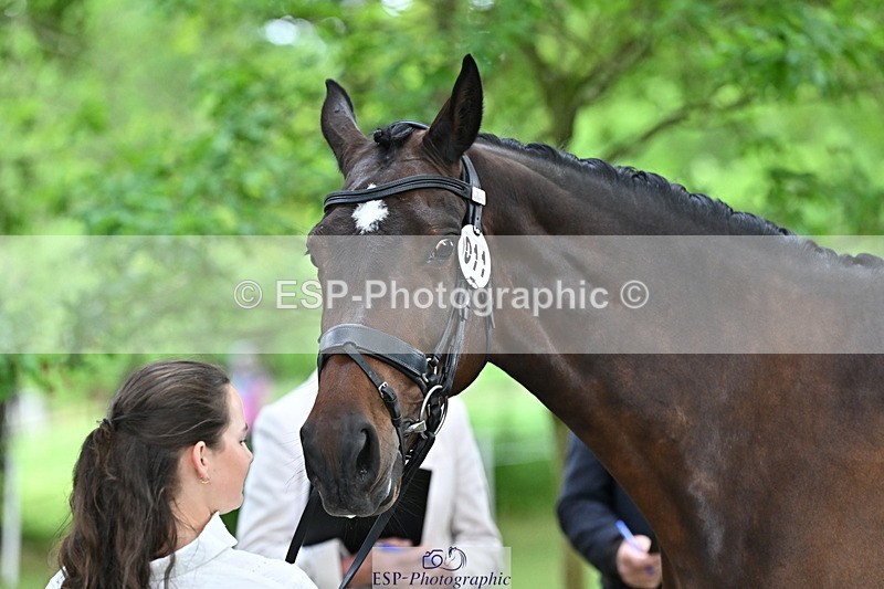 250521A-143704-00120 - A-011-Milly.Assheton-ILEXA